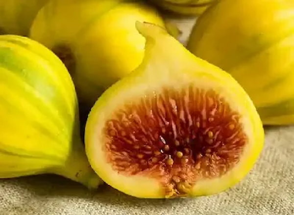 تصویر 1 از راهنمای خرید مربا انجير زرد + قیمت عالی